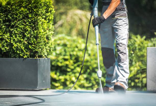 Best Roof Washing  in Sachse, TX