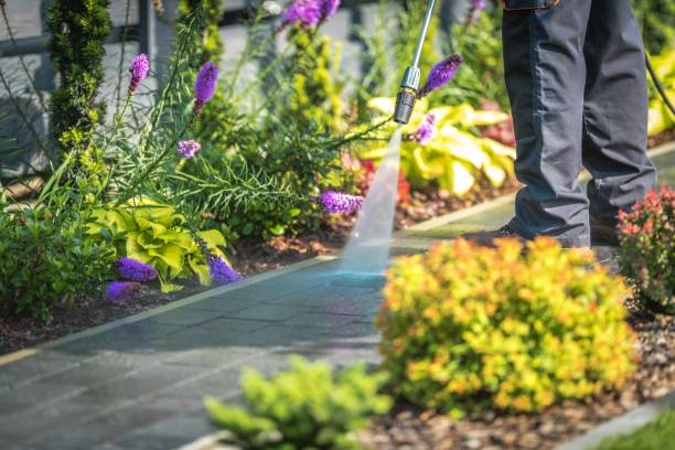 Best Restaurant Pressure Washing  in Sachse, TX