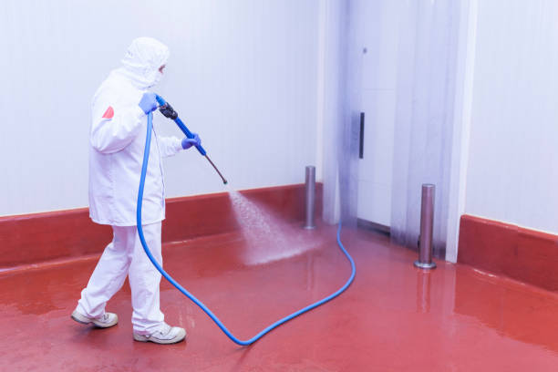 Pre-Holiday Cleaning in Sachse, TX